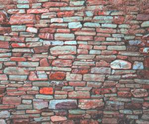 Brick and Stone Cleaning