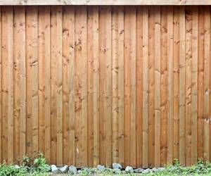 Fence Cleaning and Staining